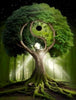 Magischer Yin-Yang-Baum