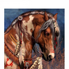 Indianer Pferd - Diamond Painting Welt Deutschland