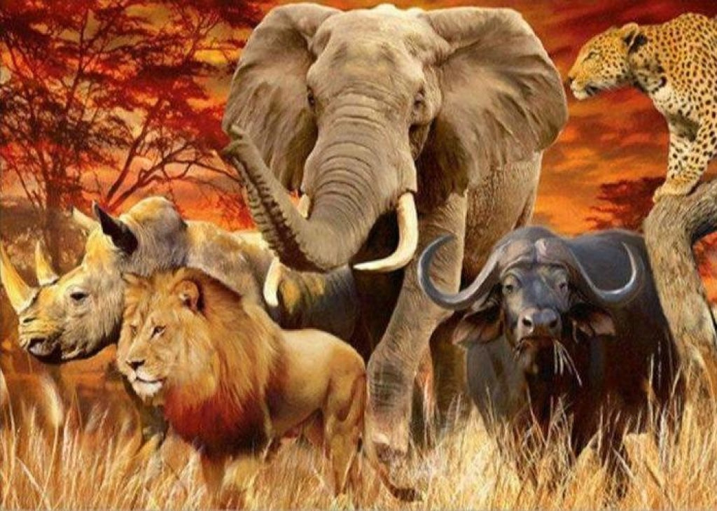 5 Afrikanische Tiere