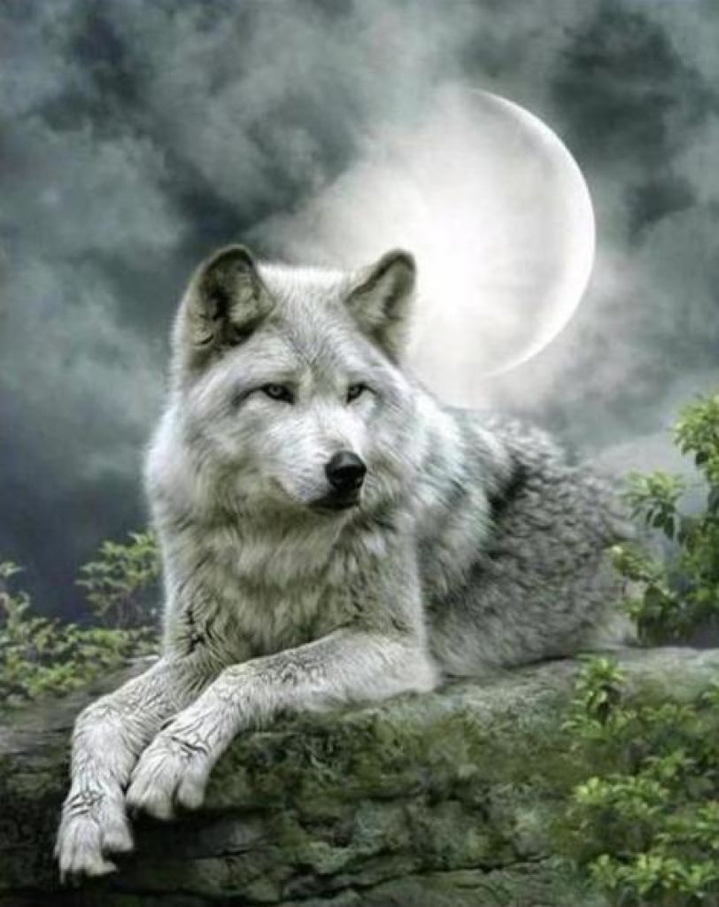 Der schöne Wolf bei Mondschein