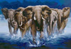 Die Elefanten im Wasser
