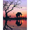 Elefanten-Sonnenuntergang