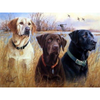 3 Labradors - Diamond Painting Welt 