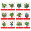 2026 Diamond Painting Tischkalender – Pflanzen-Edition