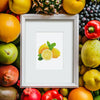 12 Mini Diamond Paintings | Frucht-Set