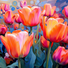 Farbige Tulpen