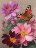 Blumen - Schmetterling