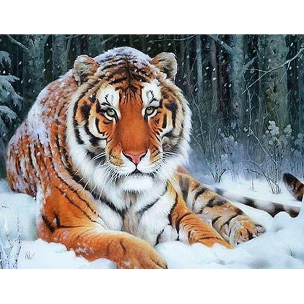Diamond Painting - Schnee Tiger