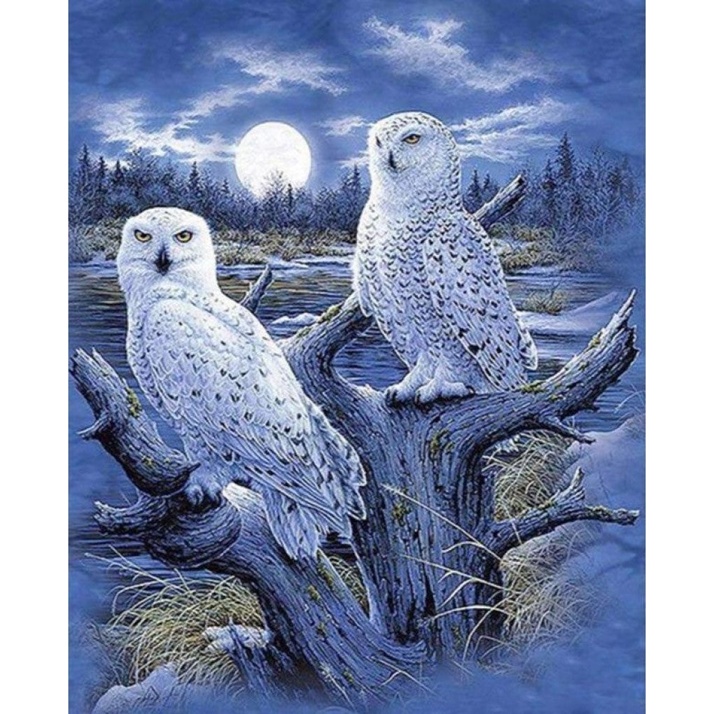 Diamond Painting - Winter-Eulen | 40x50cm