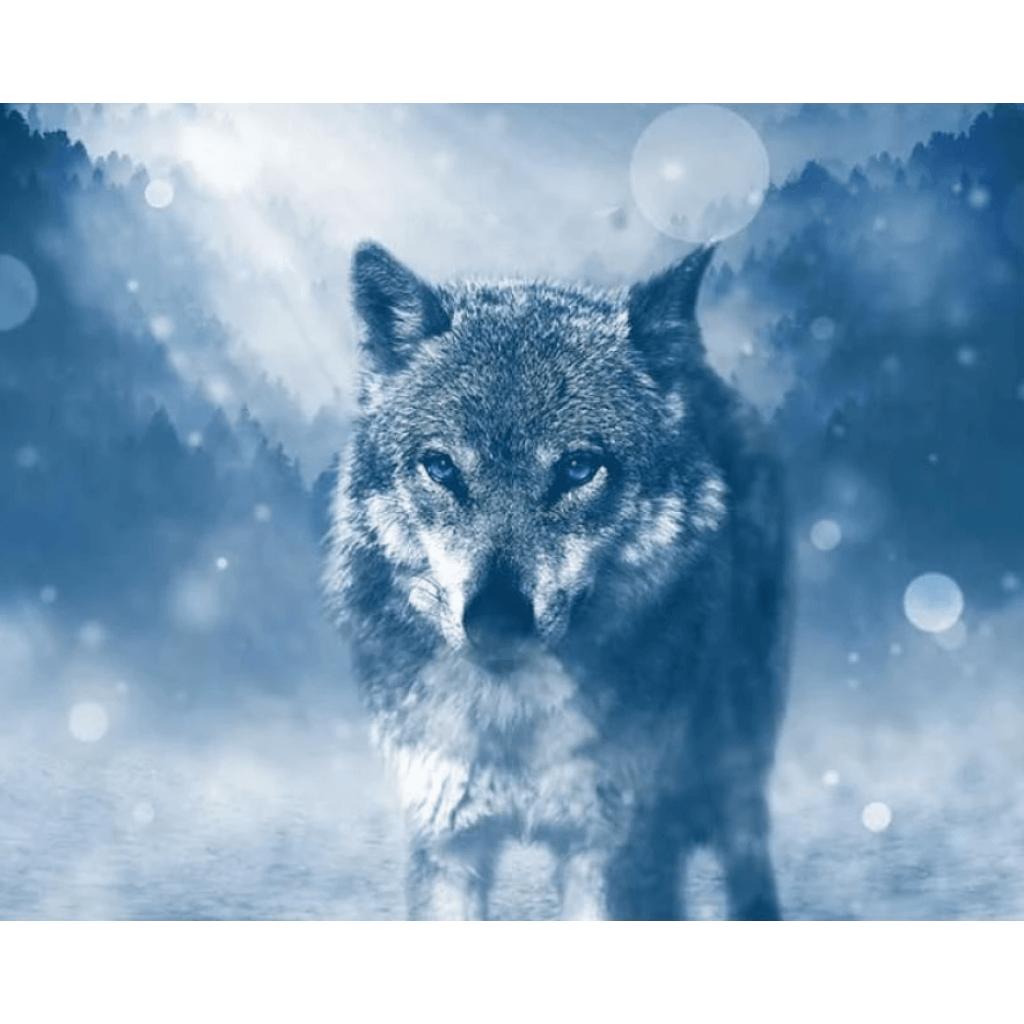 Diamond Painting - Wolf im Winter