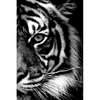 Tiger - Diamond Painting Welt 