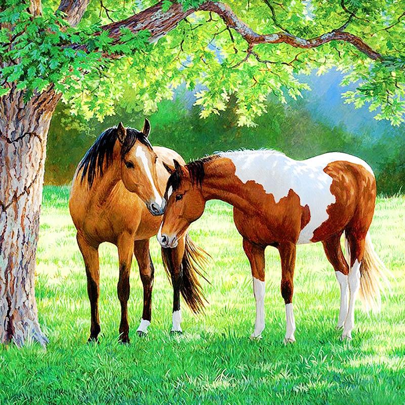 Pferde Auf Der Weide - Diamond Painting Welt 