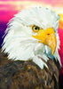 Laden Sie das Bild in den Galerie-Viewer, Amerikanischer Weißkopfseeadler