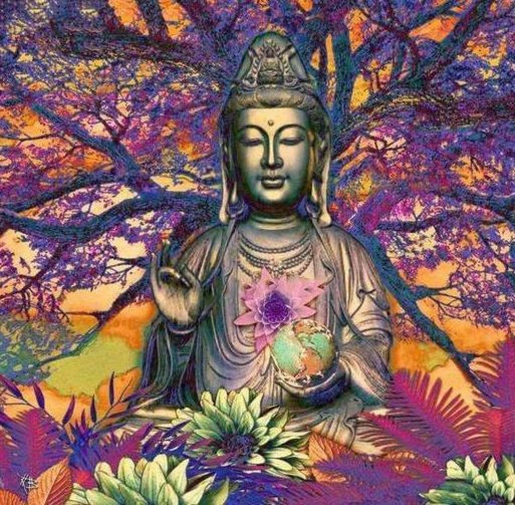 Buddha-Baum violett orange