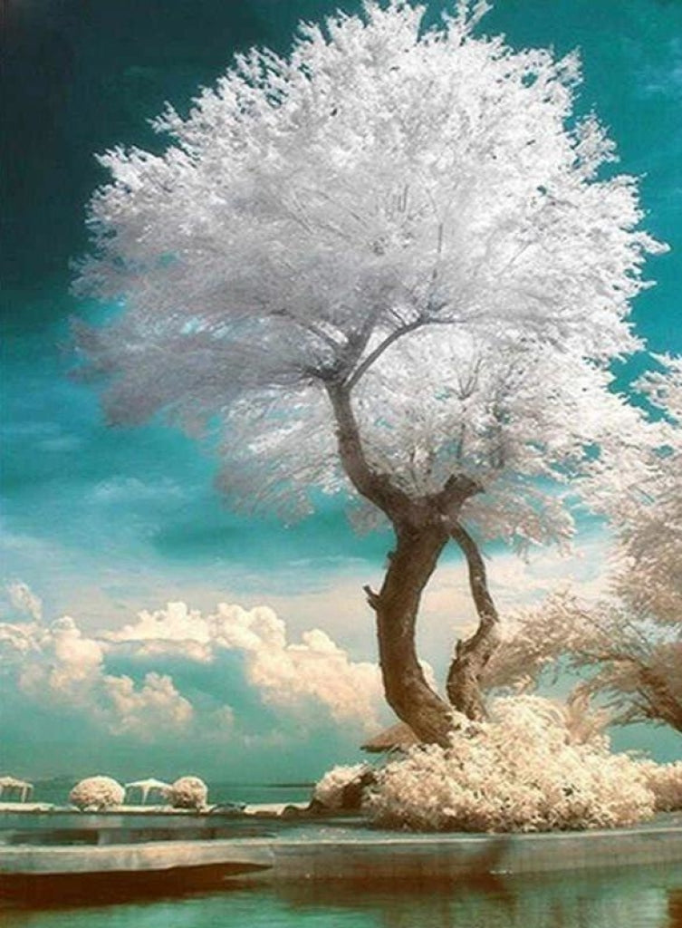 Der weiße Baum
