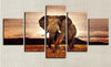 Elefant 5 Teilig