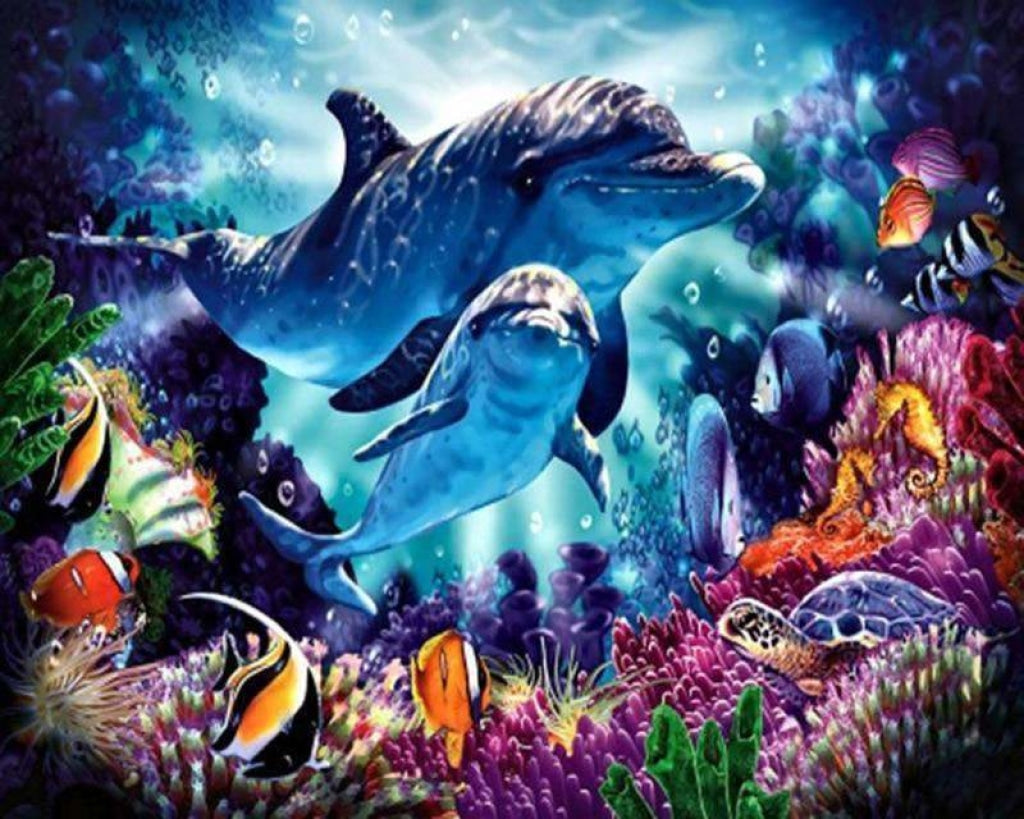 Delphin im Ozean