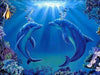 Delfine mit Sonnenstrahlen
