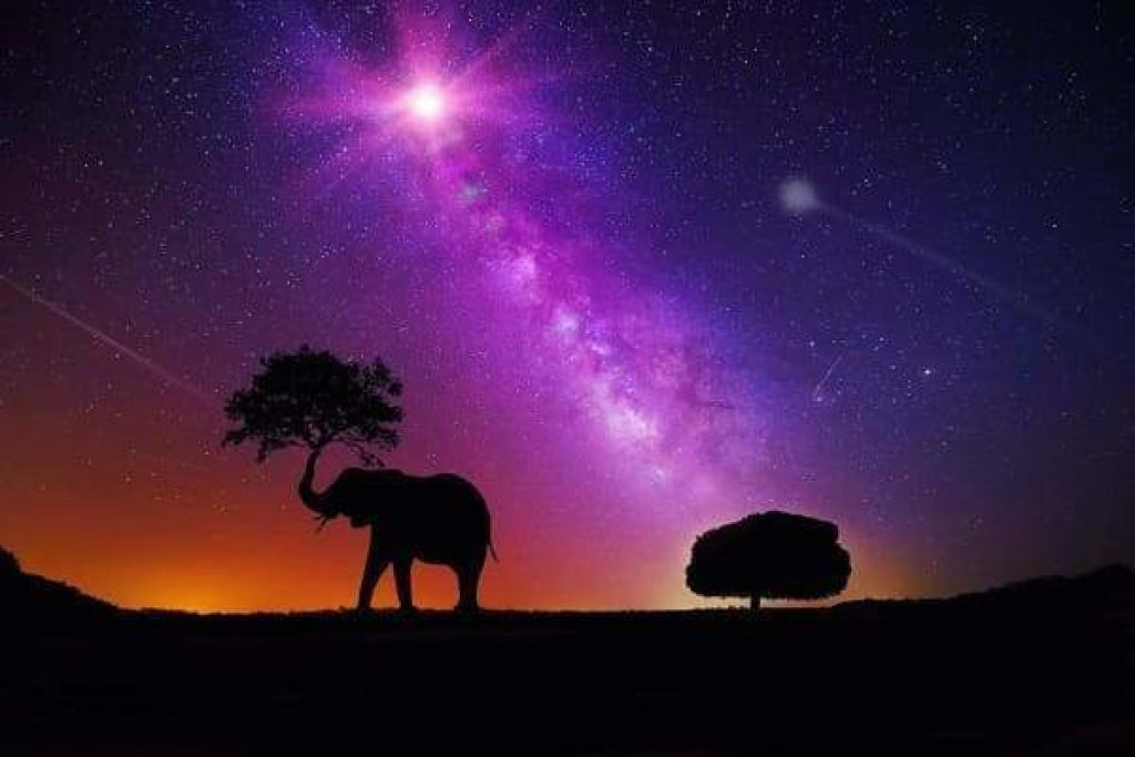 Elefant und Weltraum