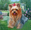 Laden Sie das Bild in den Galerie-Viewer, Yorkshire Terrier - Diamond Painting Welt 