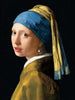 Laden Sie das Bild in den Galerie-Viewer, Girl With A Pearl Earring | Morgen Zu Hause Voorraad Painting