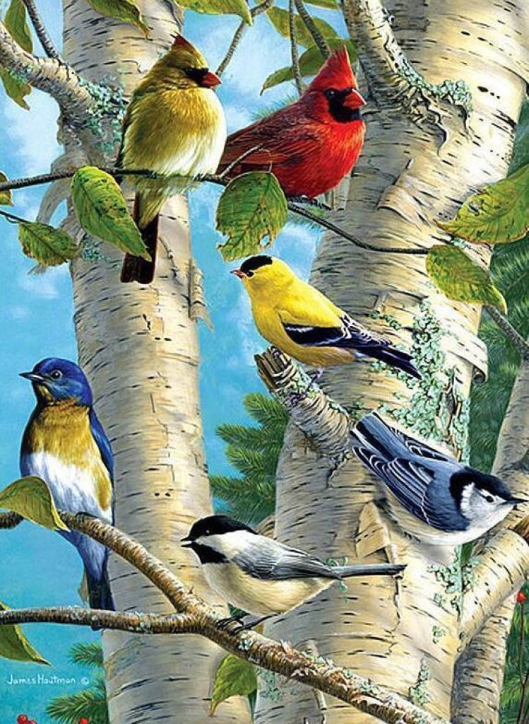 Farbige Vögel im Baum
