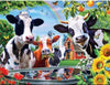 Laden Sie das Bild in den Galerie-Viewer, Kühe auf dem Bauernhof
