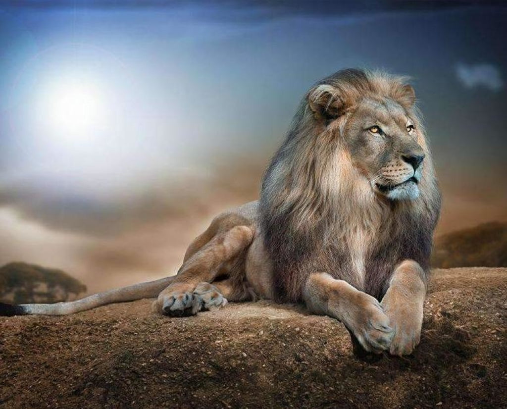 Löwe auf einem Felsen 1