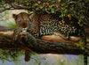 Laden Sie das Bild in den Galerie-Viewer, Leopard im Baum