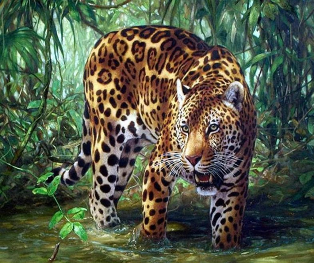 Leopard im Wasser