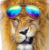 Löwe mit Sonnenbrille