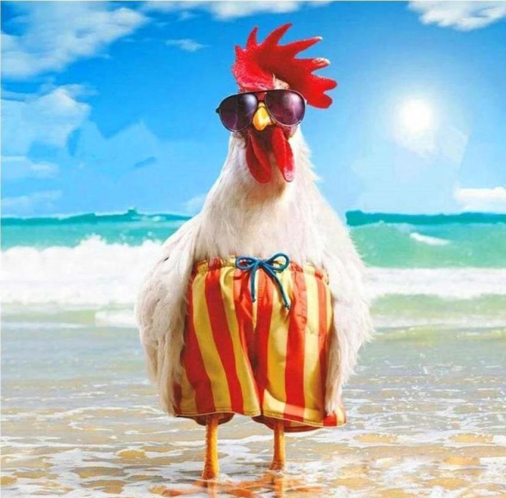 Lustiger Hahn im Urlaub