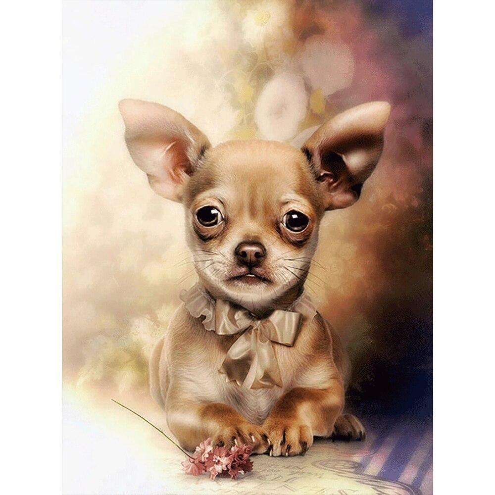 Chihuahua - Diamond Painting Welt 