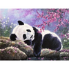 Pandabär - Diamond Painting Welt 