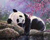Laden Sie das Bild in den Galerie-Viewer, Panda entspannt am Wasser