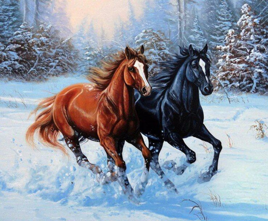 Pferde rennen im Schnee