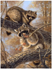 Waschbär - Diamond Painting Welt 