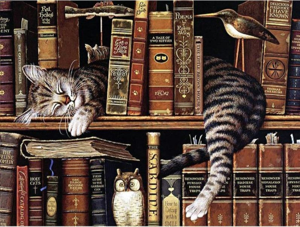 Schlafende Katze im Bücherregal