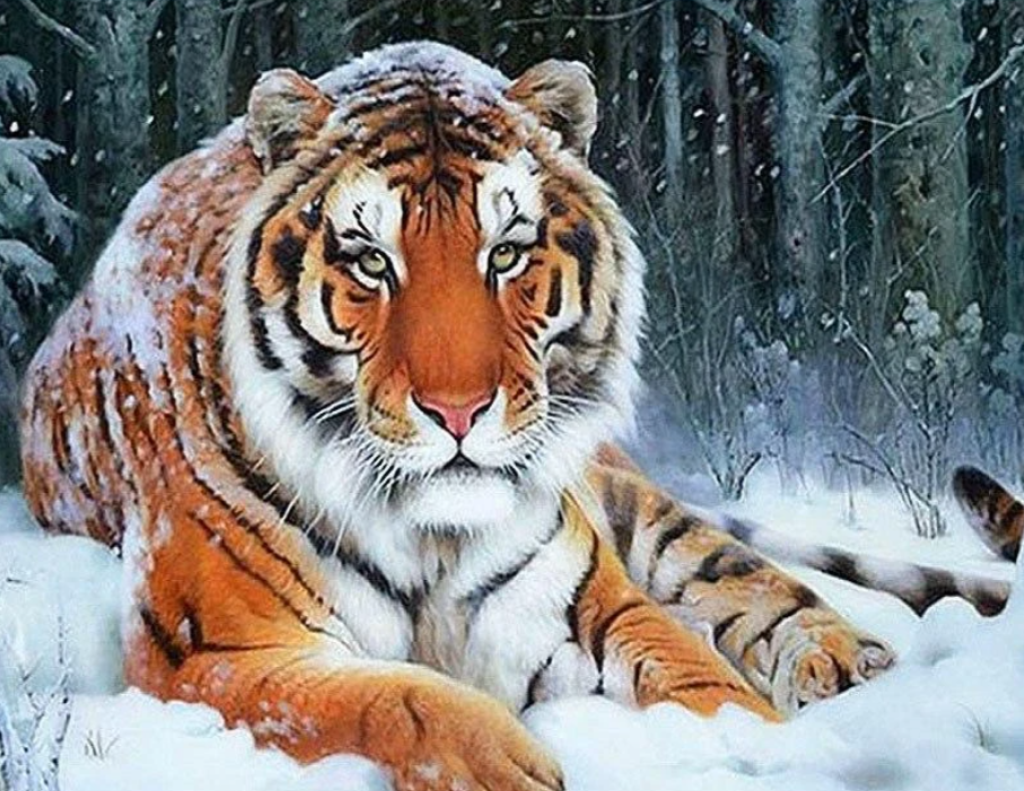 Schnee Tiger