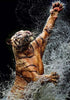 Tiger spielt mit Wasser