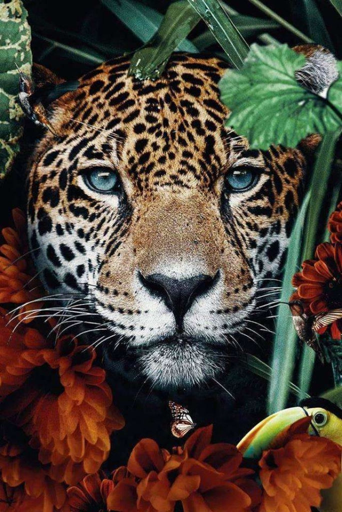 Leopardportrait im Dschungel
