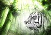 Laden Sie das Bild in den Galerie-Viewer, Weißer Tiger im Grünen Wald
