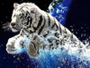 Weißer Tiger springt aus dem Wasser