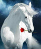 Weißes Pferd mit roter Rose