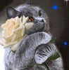 Laden Sie das Bild in den Galerie-Viewer, Schwarze Katze mit Blume