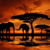 Elefant - Sonnenuntergang - Diamond Painting Welt 
