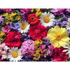 Laden Sie das Bild in den Galerie-Viewer, Verschiedene Blumen - Myth Of Asia Deutschland