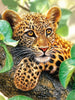 Leopardenjunge - Diamond Painting Welt Deutschland