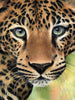 Laden Sie das Bild in den Galerie-Viewer, Leopard | Diamond Painting - Diamond Painting Welt Deutschland