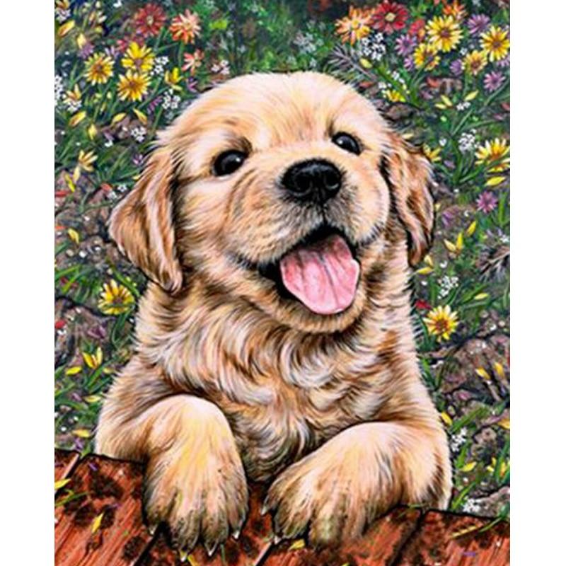 Golden Retriever - Diamond Painting Welt Deutschland